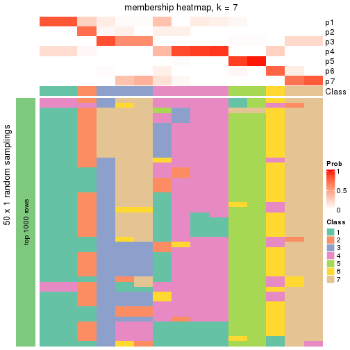 plot of chunk tab-node-041-membership-heatmap-6