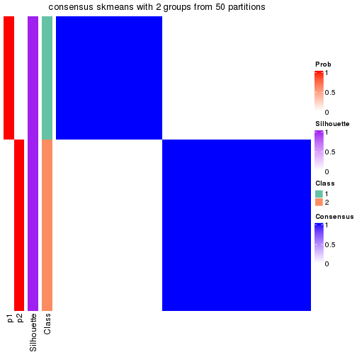 plot of chunk tab-node-042-consensus-heatmap-1