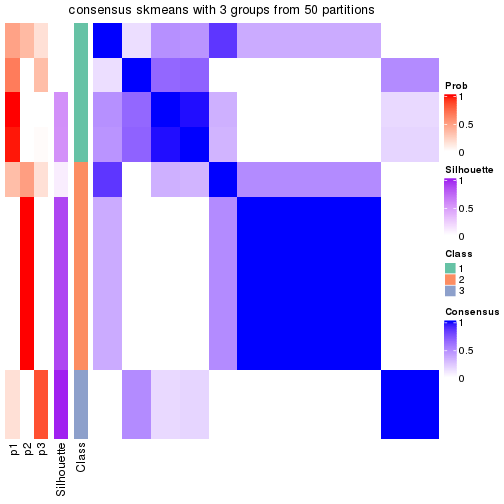 plot of chunk tab-node-042-consensus-heatmap-2