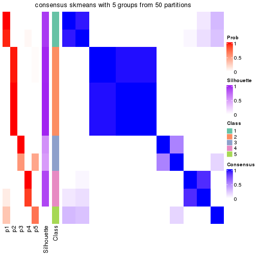 plot of chunk tab-node-042-consensus-heatmap-4