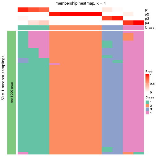 plot of chunk tab-node-042-membership-heatmap-3