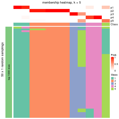 plot of chunk tab-node-042-membership-heatmap-4