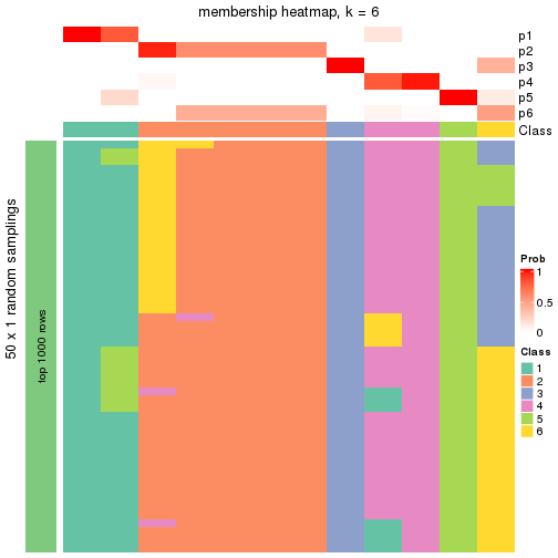 plot of chunk tab-node-042-membership-heatmap-5