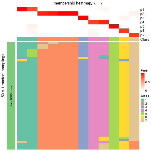 plot of chunk tab-node-042-membership-heatmap-6