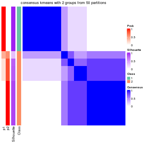 plot of chunk tab-node-043-consensus-heatmap-1