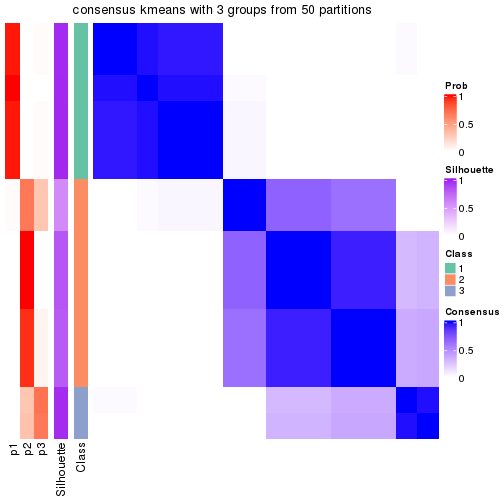 plot of chunk tab-node-043-consensus-heatmap-2