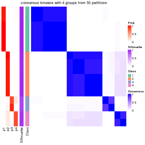 plot of chunk tab-node-043-consensus-heatmap-3