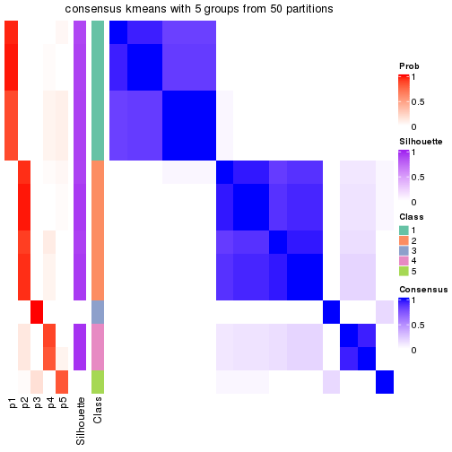 plot of chunk tab-node-043-consensus-heatmap-4