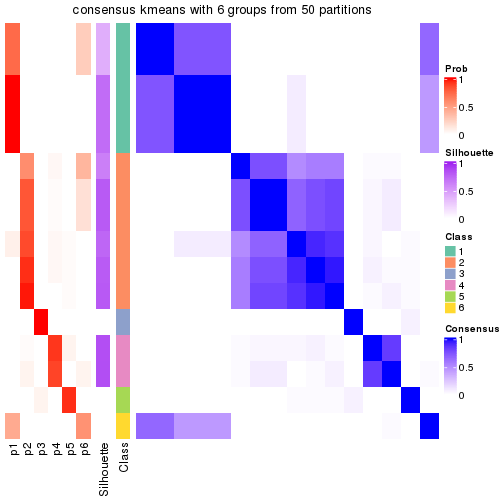 plot of chunk tab-node-043-consensus-heatmap-5