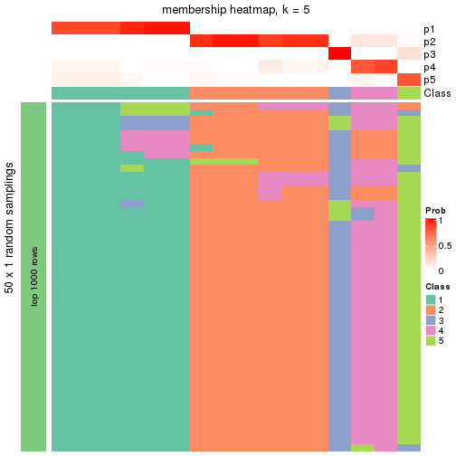 plot of chunk tab-node-043-membership-heatmap-4