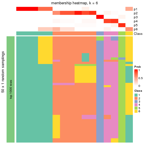 plot of chunk tab-node-043-membership-heatmap-5