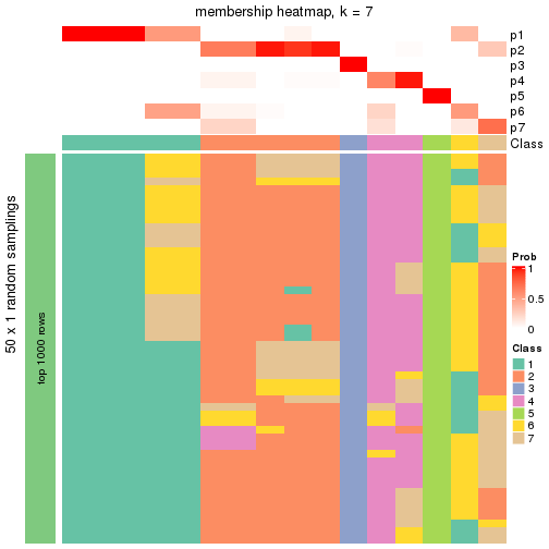 plot of chunk tab-node-043-membership-heatmap-6