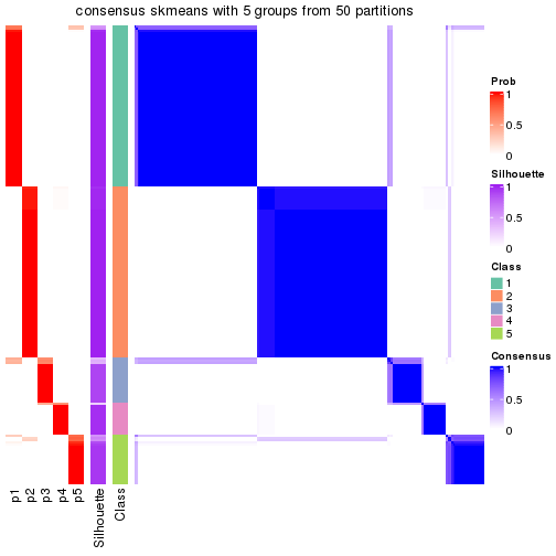 plot of chunk tab-node-0-consensus-heatmap-4