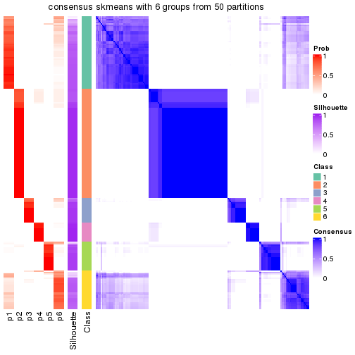 plot of chunk tab-node-0-consensus-heatmap-5