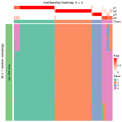 plot of chunk tab-node-0-membership-heatmap-3