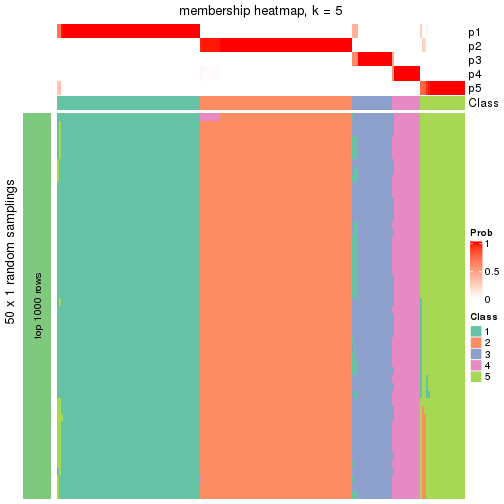 plot of chunk tab-node-0-membership-heatmap-4