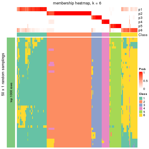 plot of chunk tab-node-0-membership-heatmap-5