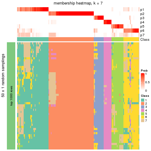 plot of chunk tab-node-0-membership-heatmap-6