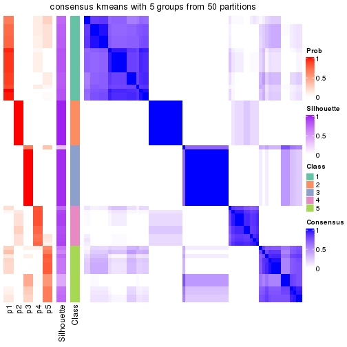 plot of chunk tab-node-01-consensus-heatmap-4