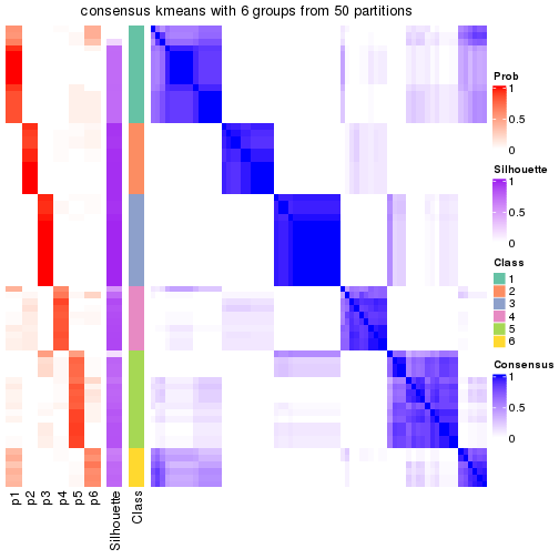 plot of chunk tab-node-01-consensus-heatmap-5