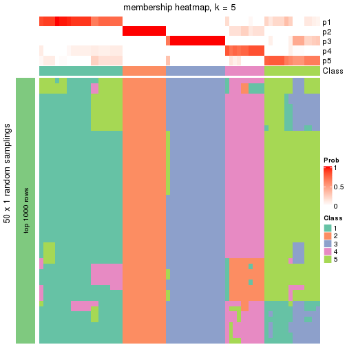 plot of chunk tab-node-01-membership-heatmap-4