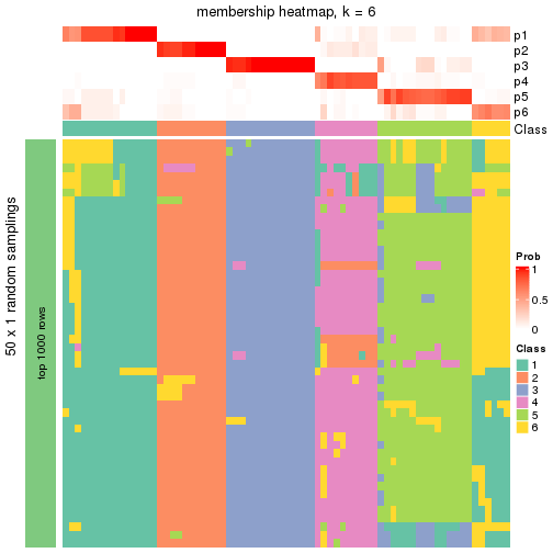 plot of chunk tab-node-01-membership-heatmap-5