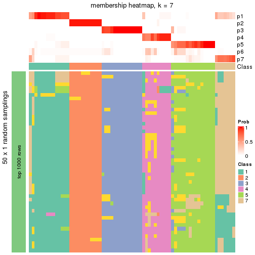 plot of chunk tab-node-01-membership-heatmap-6