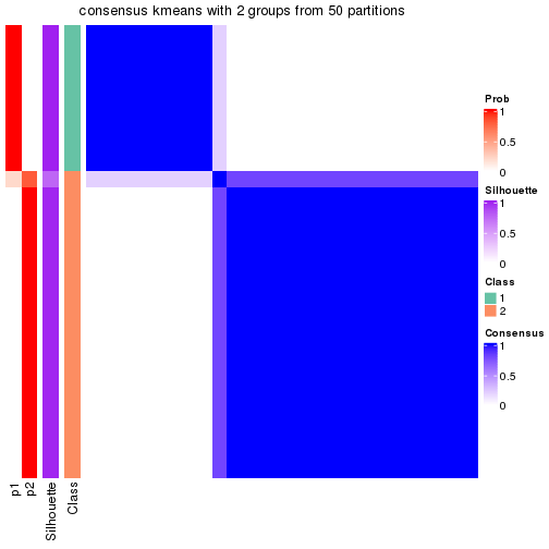 plot of chunk tab-node-011-consensus-heatmap-1