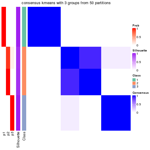 plot of chunk tab-node-011-consensus-heatmap-2