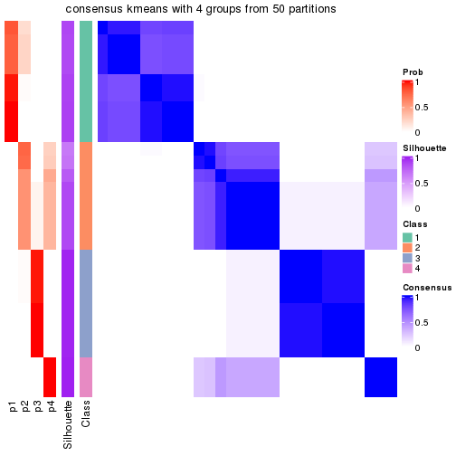 plot of chunk tab-node-011-consensus-heatmap-3