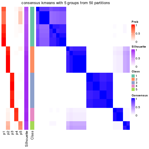 plot of chunk tab-node-011-consensus-heatmap-4