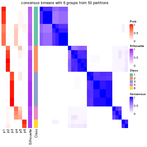 plot of chunk tab-node-011-consensus-heatmap-5