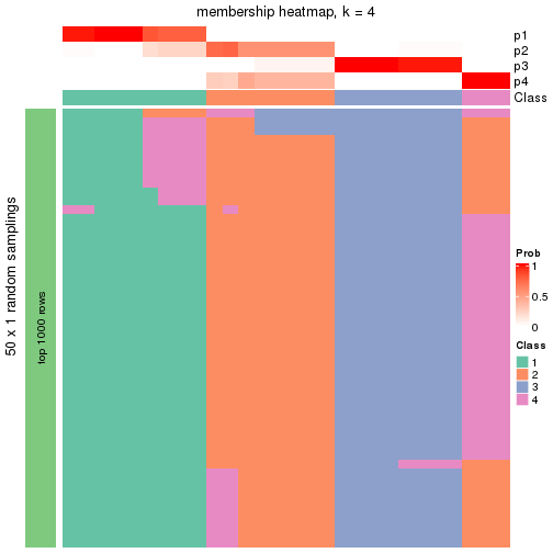 plot of chunk tab-node-011-membership-heatmap-3