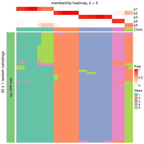 plot of chunk tab-node-011-membership-heatmap-4