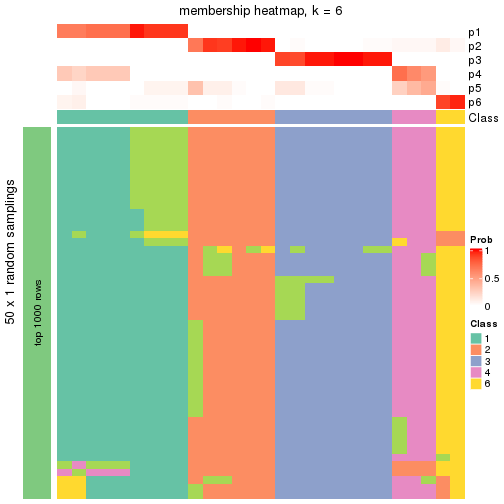 plot of chunk tab-node-011-membership-heatmap-5