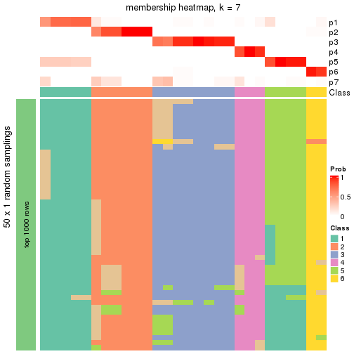 plot of chunk tab-node-011-membership-heatmap-6