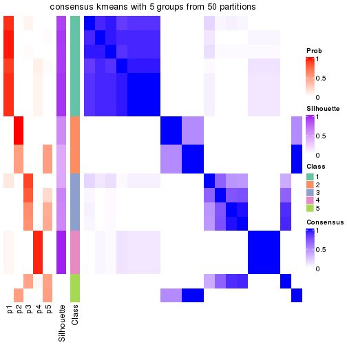 plot of chunk tab-node-012-consensus-heatmap-4