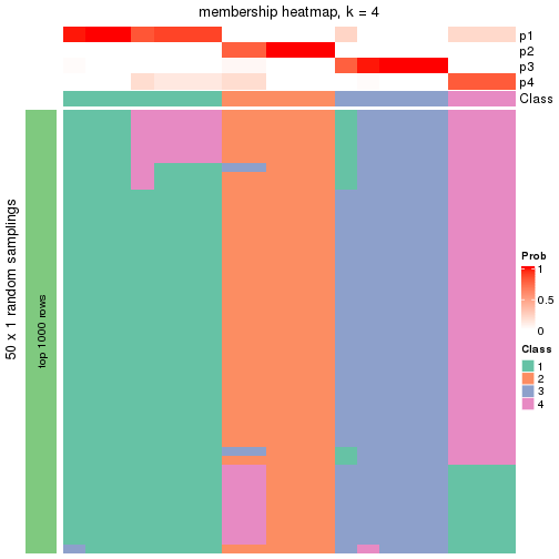 plot of chunk tab-node-012-membership-heatmap-3