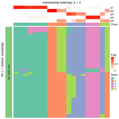 plot of chunk tab-node-012-membership-heatmap-4