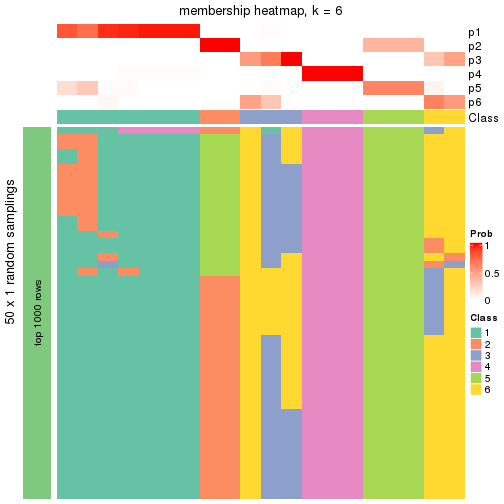 plot of chunk tab-node-012-membership-heatmap-5