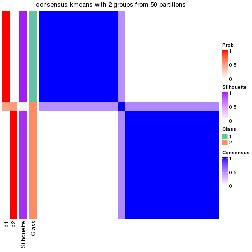 plot of chunk tab-node-013-consensus-heatmap-1