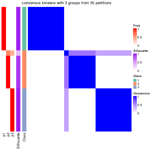 plot of chunk tab-node-013-consensus-heatmap-2