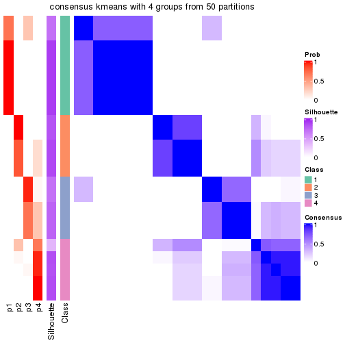 plot of chunk tab-node-013-consensus-heatmap-3