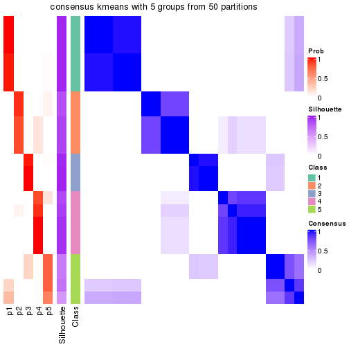 plot of chunk tab-node-013-consensus-heatmap-4