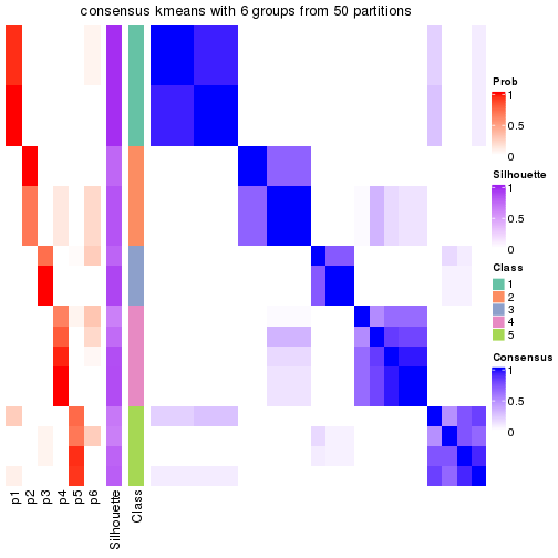 plot of chunk tab-node-013-consensus-heatmap-5