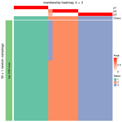 plot of chunk tab-node-013-membership-heatmap-2