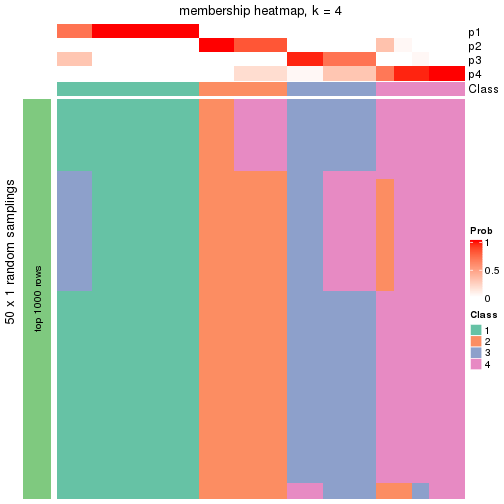 plot of chunk tab-node-013-membership-heatmap-3