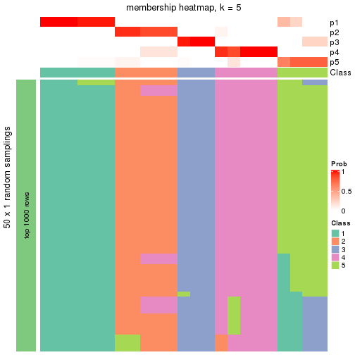 plot of chunk tab-node-013-membership-heatmap-4