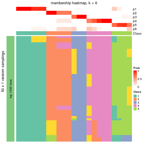 plot of chunk tab-node-013-membership-heatmap-5