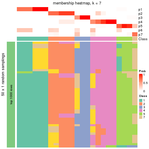 plot of chunk tab-node-013-membership-heatmap-6